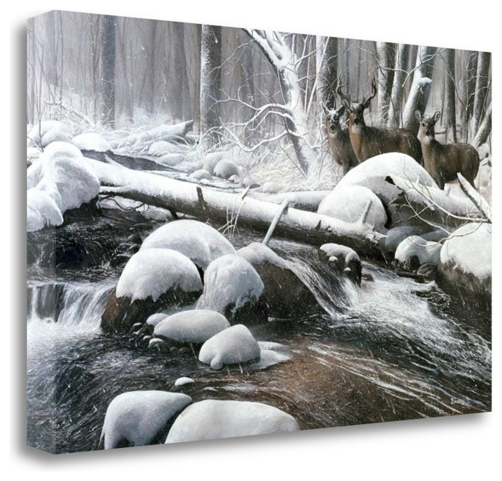 "Winter Silence" By Kevin Daniel, Giclee Print on Gallery Wrap Canvas