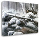 "Winter Silence" By Kevin Daniel, Giclee Print on Gallery Wrap Canvas