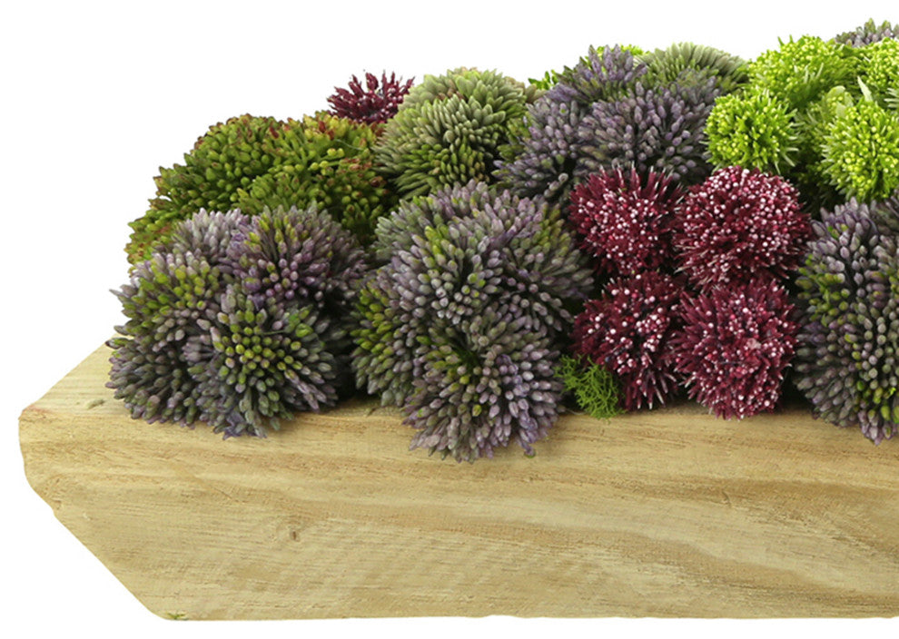 Sedum, Pompom and Moss Arrangement in a  Wood Planter