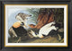 "Eider Duck" Framed Canvas Giclee by John James Audubon, 28x20"