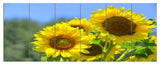 Beautiful Sunflowers View, Floral Canvas Art Print, 70"x28", 6 Panels