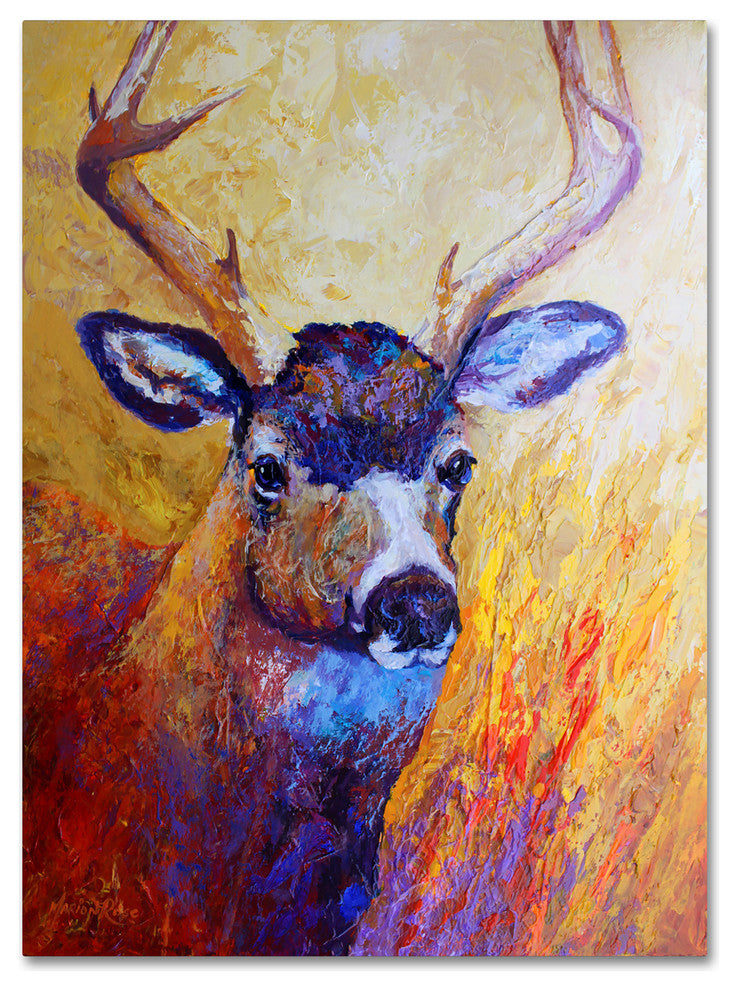 Marion Rose 'Mule Deer Buck' Canvas Art, 24" x 32"
