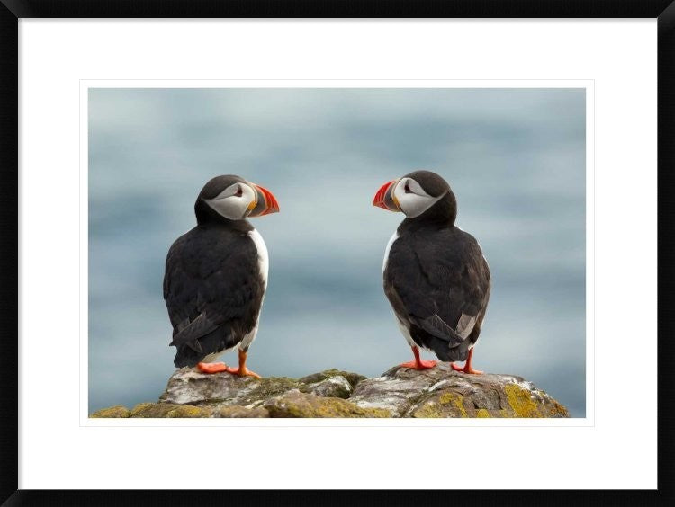 "I Love You - I Love You Too" Framed Digital Print by Milan Zygmunt, 30x22"