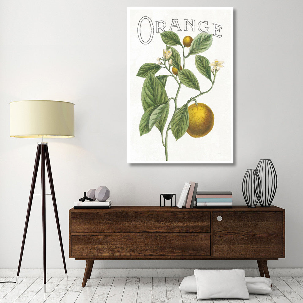 "Classic Citrus VI v2" Digital Paper Print by Sue Schlabach, 42"x62"