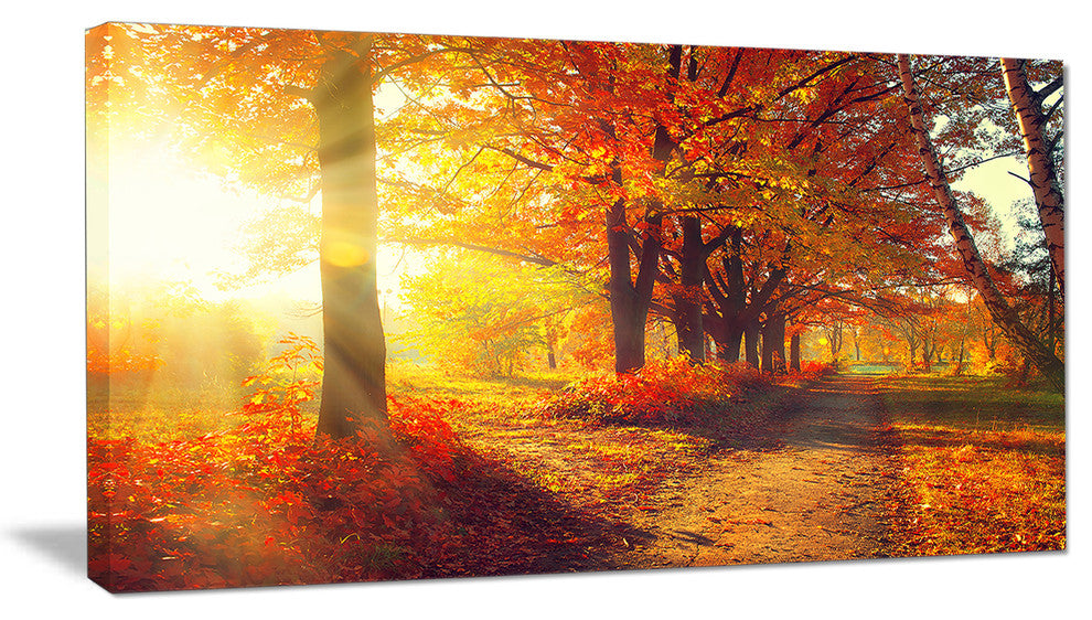 Autumnal Trees in Sunrays, Large Landscape Canvas Art Print, 32"x16"