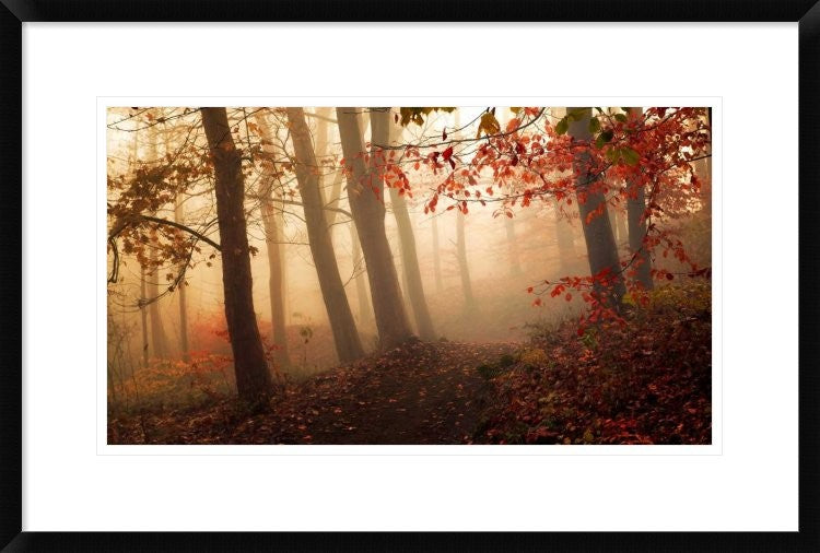 "Towards The Light." Framed Digital Print by Leif Londal, 30"x20"