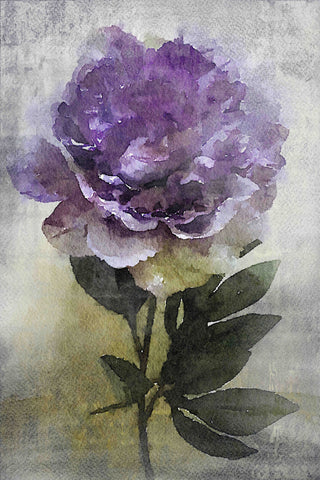 "Elusive Dreams" Print on Canvas by Irena Orlov