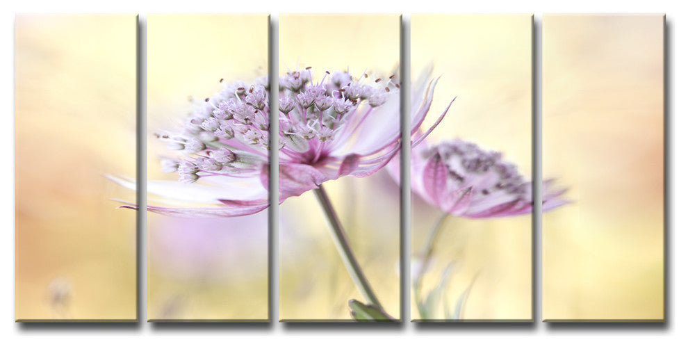 Ready2HangArt 'Pink Astrantia' 5-Piece Canvas Wall Decor Set