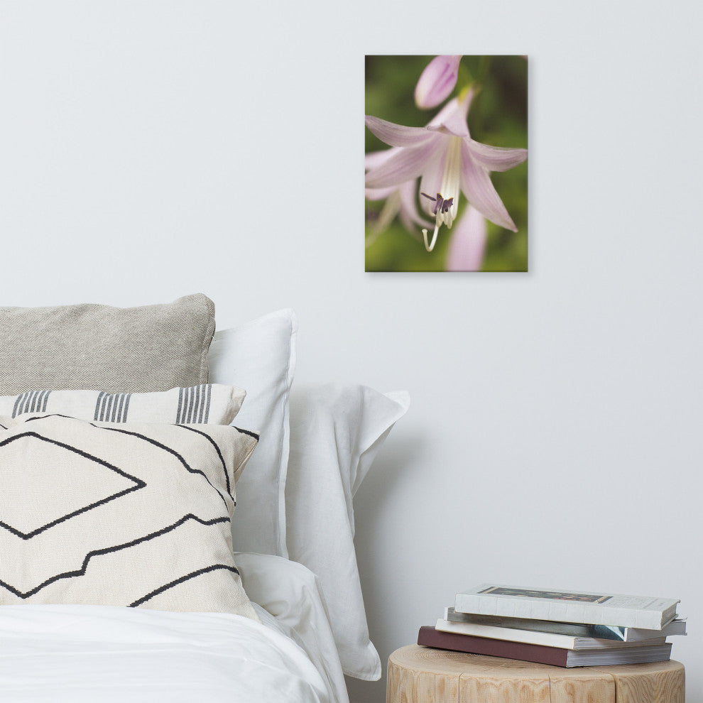 Softened Hosta Bloom Floral Nature Photo Canvas Wall Art Print, 12" X 16"