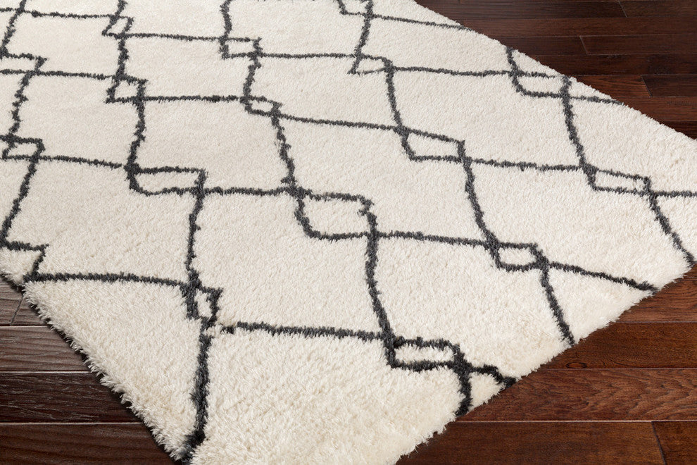Machine Woven Llana Rectangle Area Rug LLN-1003 - 2' x 3'