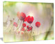 Wild Red Poppy Flowers, Floral Canvas Art Print, 40"x30"