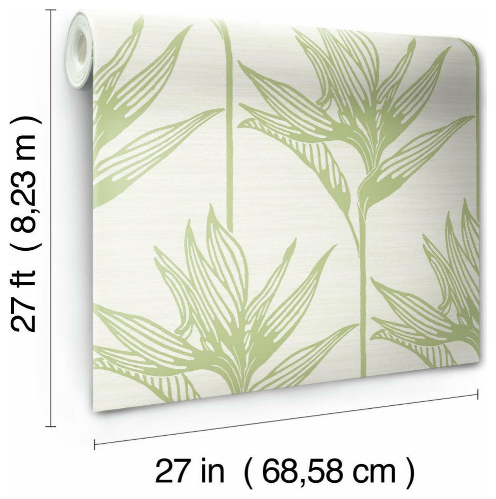 Bird Of Paradise Wallpaper