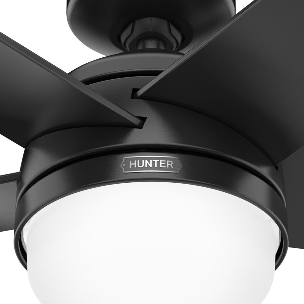 Hunter 52" Yuma Matte Black Damp Rated Ceiling Fan With LED Light Kit and Remote