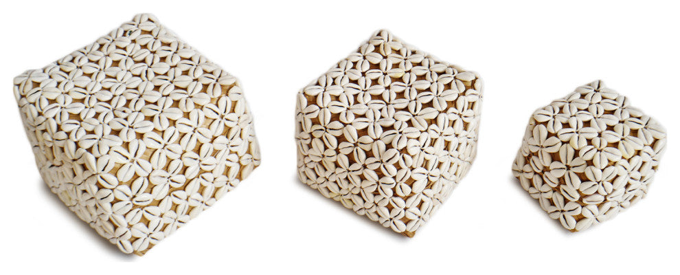 Cowry Shell Box Small