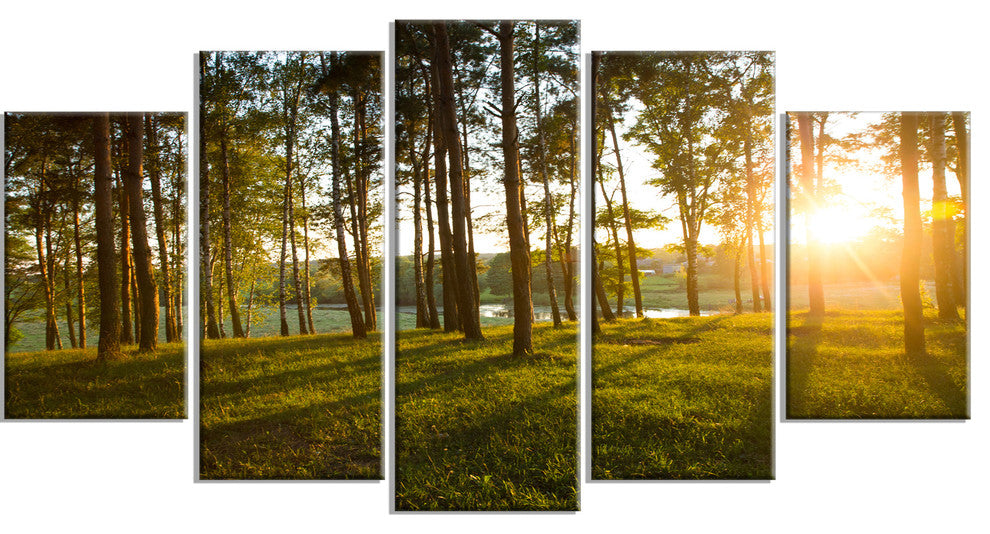 Bright Sunlight in Dense Forest, Large Landscape Canvas Art, 60"x32", 5 Panels