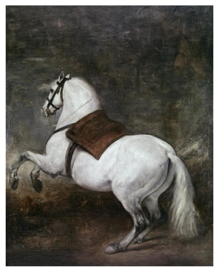 "A White Horse" Digital Paper Print by Diego Velazquez, 20"x24"