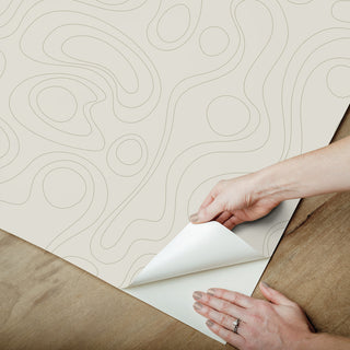 Emily Rayna Beige Lineation Peel and Stick Wallpaper