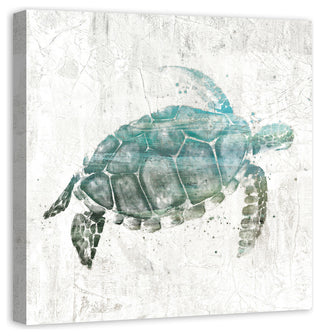 Turquoise Sea Turtle Canvas Wall Art, 30"x30"