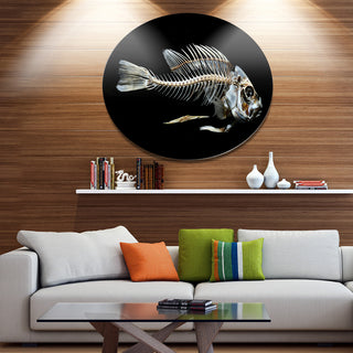 Fish Skeleton Bone On Black, Animal Disc Metal Artwork, 23"