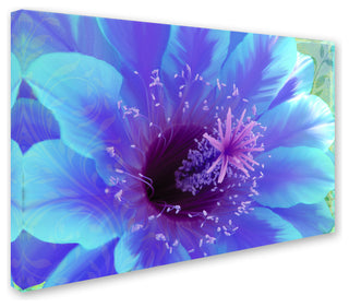 Tina Lavoie 'Paradisum' Canvas Art, 16" x 24"