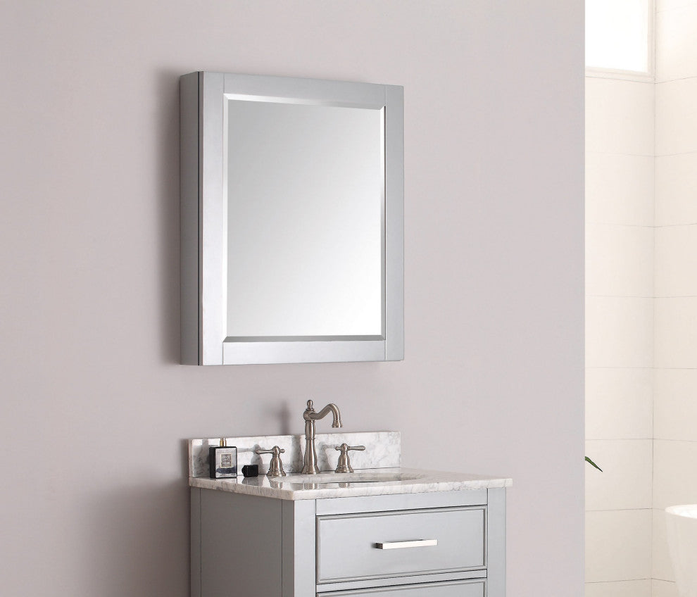 Avanity 24" Mirror Cabinet, Chilled Gray Finish