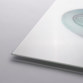 "Shimmering Snail Ii" Wall Art on Frameless Free Floating Tempered Glass Panel