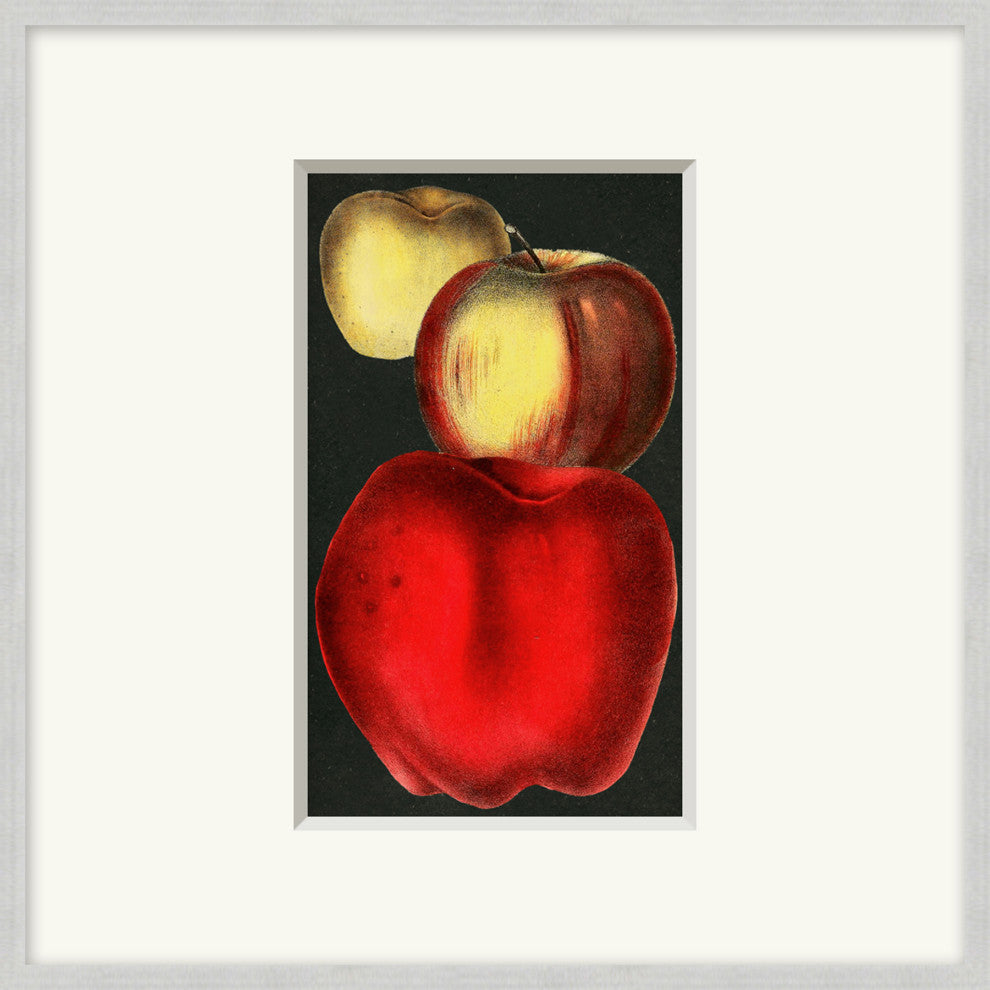 Fruit Study 7, Giclee Reproduction Artwork