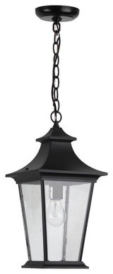 Greyson 1-Light Outdoor Pendant Light in Black Finish