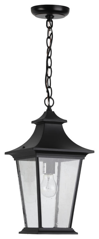 Greyson 1-Light Outdoor Pendant Light in Black Finish