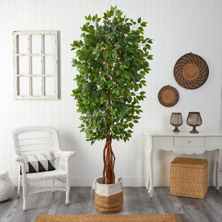 Lifestyle photo showing the ficus tree in interior decor context