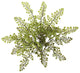 15" Maiden Hair Artificial Plant, Set of 12
