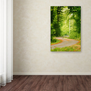 'S Road' Canvas Art by Philippe Sainte-Laudy