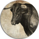 Spanish Bull Sketch, Animal Round Metal Wall Art, 11"