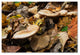 ''Mushrooms in the Leaves'' Canvas Art by Kurt Shaffer