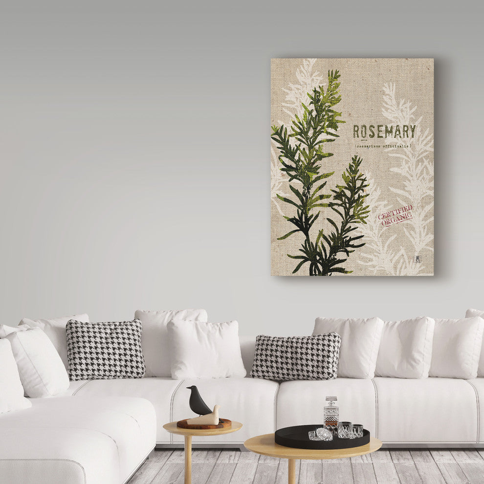 "Organic Rosemary No Butterfly" by Studio Mousseau, Canvas Art, 19"x14"