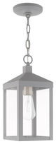 Livex Lighting Nordic Gray 1-Light Outdoor Pendant Lantern