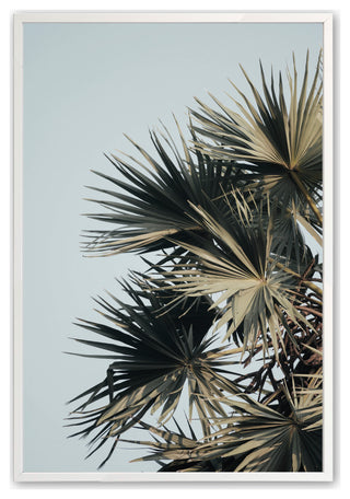 Opaque White 16" x 20" Sky High Palms Framed Print