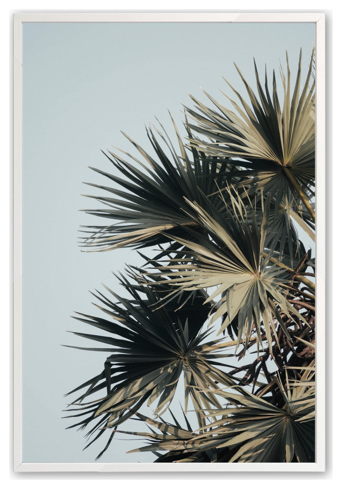 Opaque White 16" x 20" Sky High Palms Framed Print