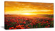 Poppy Field under Ablaze Sunset, Abstract Wall Art Canvas, 32x16