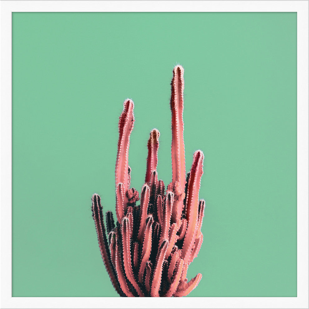 Sherbet Cactus 4, Giclee Reproduction Artwork