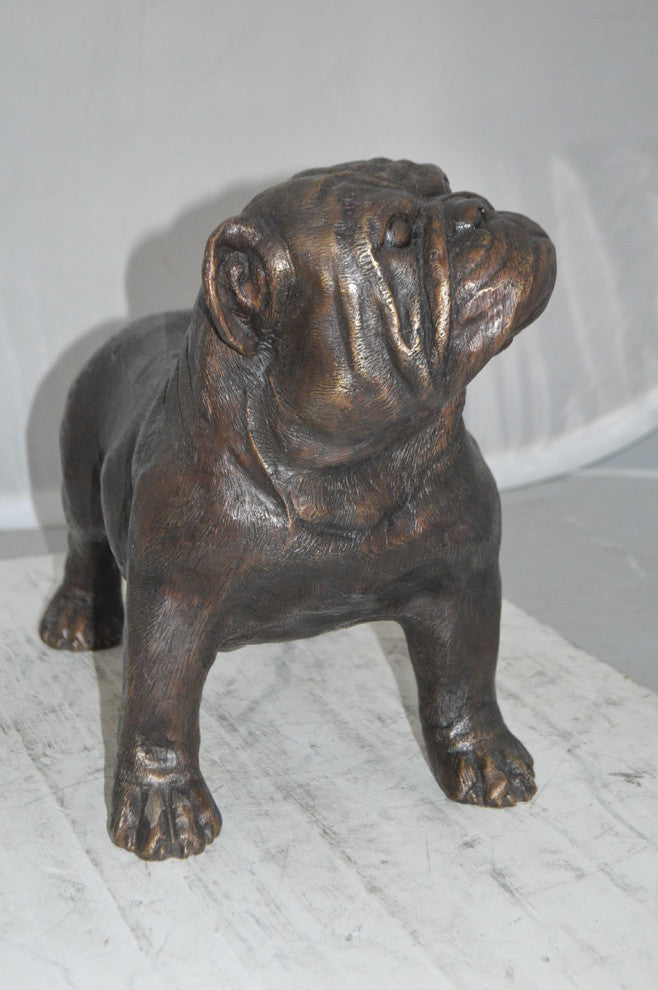 Bulldog Bronze Statue -  Size: 20"L x 9"W x 15"H.