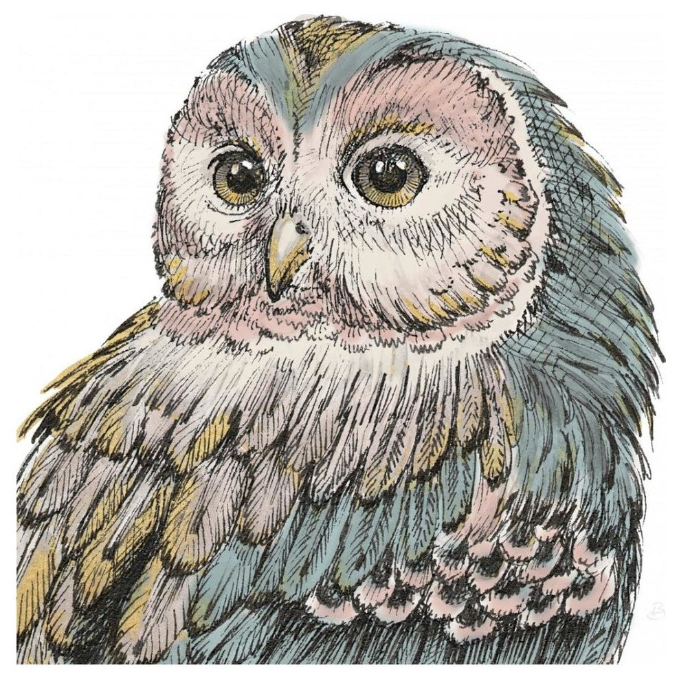 "Beautiful Owls I Pastel Crop" Digital Paper Print by Daphne Brissonnet, 32"x32"