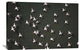 "Lesser Flamingo Flock Taking Flight From The Surface Of A Lake, Kenya" Artwork