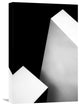"Nero Bianco" Stretched Canvas Giclee by Gilbert Claes, 15x22"