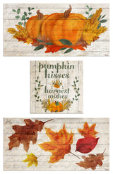 Pumpkin Kisses & Harvest Wishes 3-Pc Fall Canvas Wall Art Set