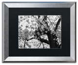 CATeyes 'Blossoms BW' Matted Framed Art, Silver Frame, Black Mat, 20x16