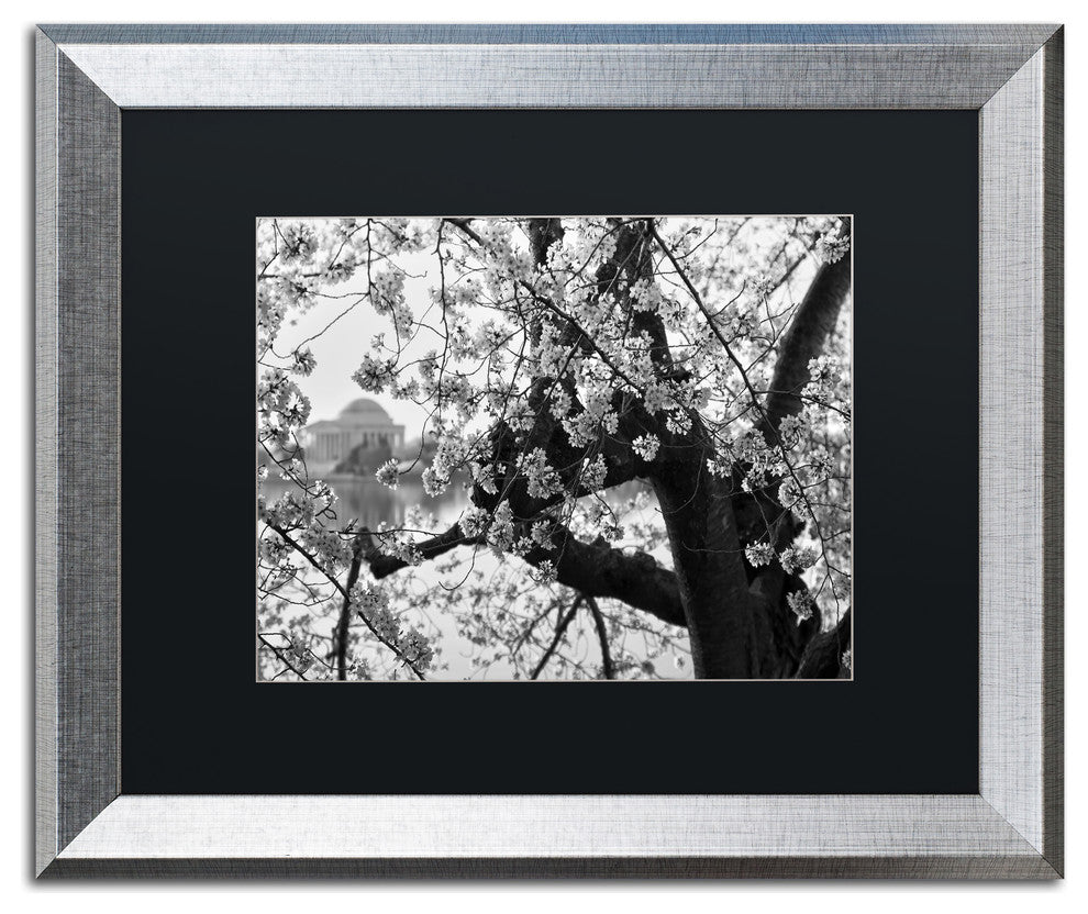 CATeyes 'Blossoms BW' Matted Framed Art, Silver Frame, Black Mat, 20x16