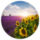 Lavender And Sunflower Fields, Floral Round Wall Art, 11"
