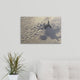 "Young sea turtle " Canvas Art, 24"x16"x1.25"