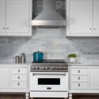 DuraSnow Stainless Steel Range Hood with DuraSnow Shell